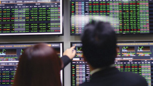 Nhà đầu tư cá nhân Đài Loan muốn tham gia thị trường chứng khoán Việt Nam