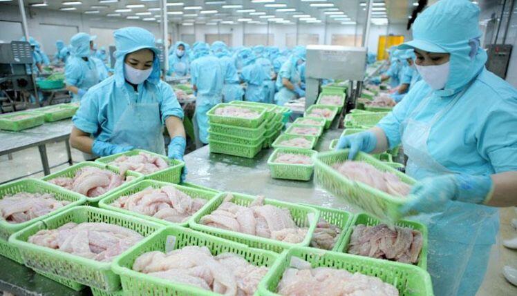 Doanh nghiệp xuất khẩu thủy sản sốt sắng chinh phục thị trường