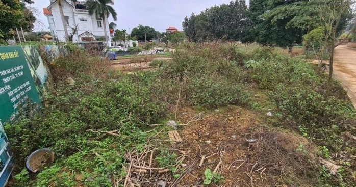Cận cảnh hàng loạt khu đất phân lô bán nền tiền tỷ bỏ hoang ở ven đô