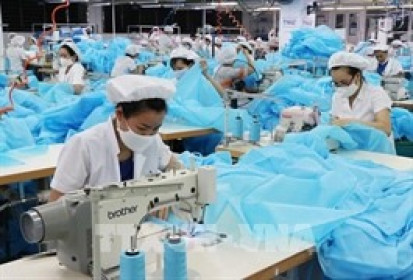 TNG: Lãi ròng tháng 1 tăng 72%, muốn huy động 300 tỷ đồng trái phiếu