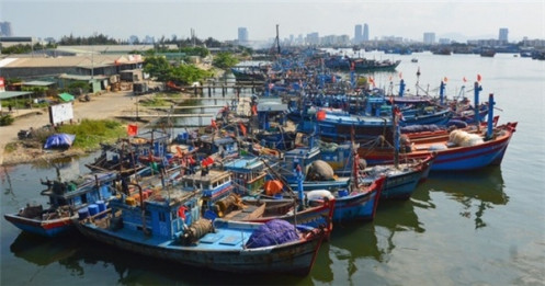 Thủy sản Việt Nam sớm gỡ thẻ vàng