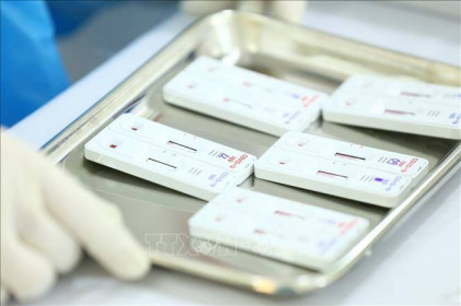 Giá kit test nhanh COVID-19, sả gừng tại Hà Nội tăng mạnh