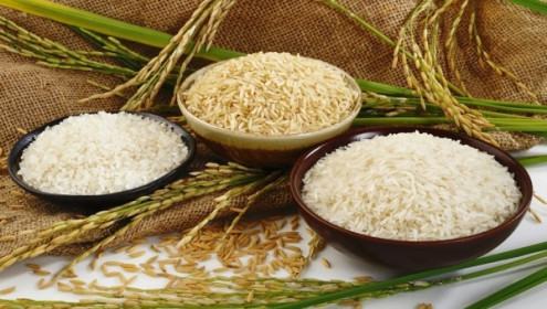 Xuất khẩu gạo tiếp tục tăng trưởng