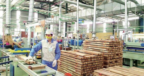Chiến lược thu ngoại tệ từ sản xuất, xuất khẩu gỗ và sản phẩm gỗ ở Việt Nam