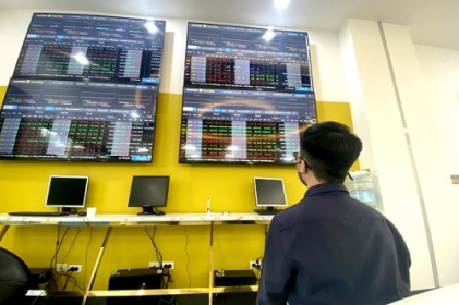 Ngược xu hướng chung, cầu bắt đáy có đủ mạnh đẩy VN-Index về đỉnh cũ?