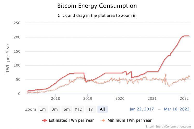 Em trai tỷ phú Elon Musk cảm thấy "hối hận" khi Tesla đầu tư 1,5 tỷ USD vào Bitcoin