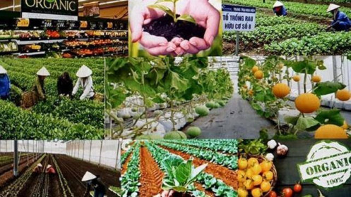 "Trụ đỡ" của nền kinh tế vẫn đứng vững