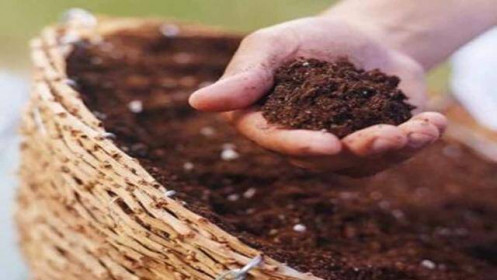 Hưởng lợi ngắn hạn, lợi nhuận doanh nghiệp phân bón vẫn có thể bị tác động