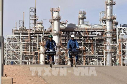 Algeria sẽ tăng sản lượng dầu lên trên 1 triệu thùng/ngày