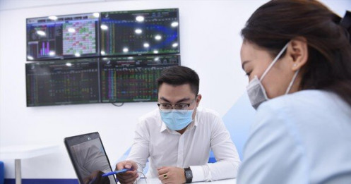 Thị trường chứng khoán: Những cổ phiếu nào sẽ lên đỉnh?