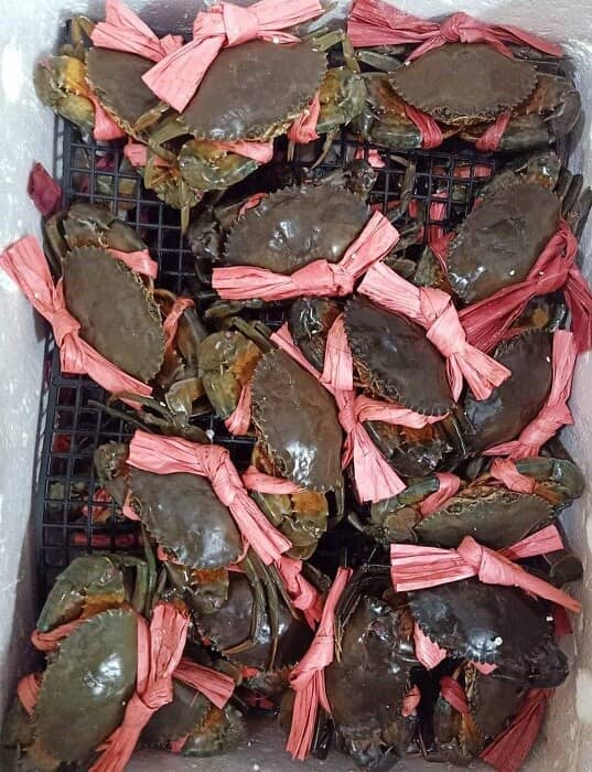 Hải sản đảo chiều "đại hạ giá”, tôm hùm xanh chỉ từ 500 nghìn đồng/kg