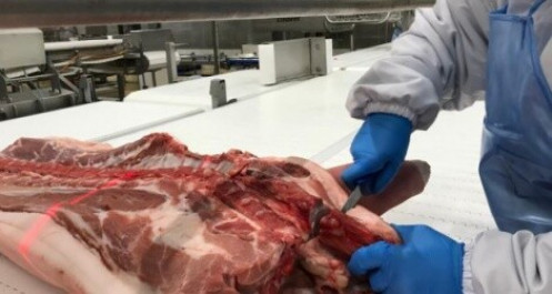 Nhu cầu tiêu dùng thịt lợn giảm mạnh sau Tết
