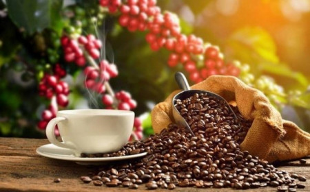 Xuất khẩu cà phê sang EU: Cách nào gia tăng thị phần?