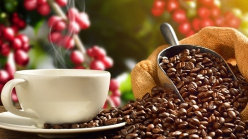 Giá cà phê hôm nay 9/3: Giá cà phê bật tăng mạnh mẽ; tốc độ tăng trưởng đáng chú ý của sản phẩm pha sẵn