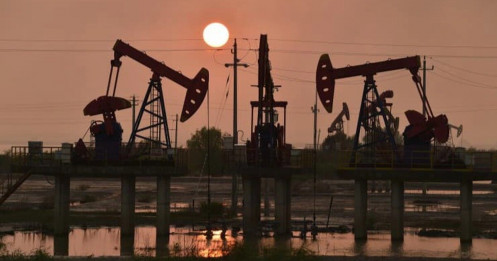 Giá dầu bất ngờ lao dốc