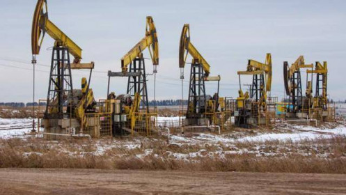 Thêm quốc gia áp đặt lệnh cấm nhập khẩu dầu mỏ của Nga