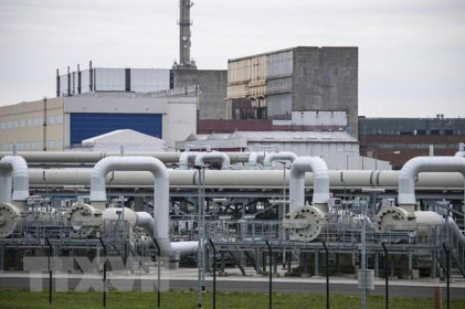 Đức chính thức đưa ra mốc thời gian ngừng nhập dầu của Nga