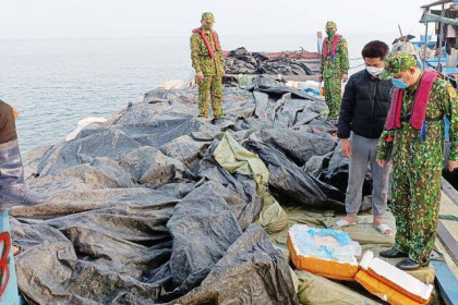 20 tấn nầm lợn bốc mùi hôi thối tuồn vào Việt Nam qua đường biển