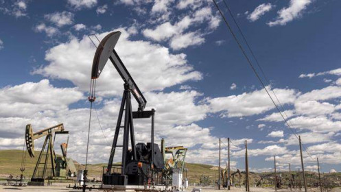 Các nước Mỹ Latinh tìm cách đối phó “cú sốc” giá dầu