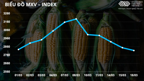 Bản tin MXV 17/3: Lúa mì giảm kịch sàn, quặng sắt tăng mạnh 8,4%