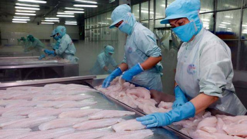 Xuất khẩu thủy sản sang Trung Quốc hồi phục mạnh