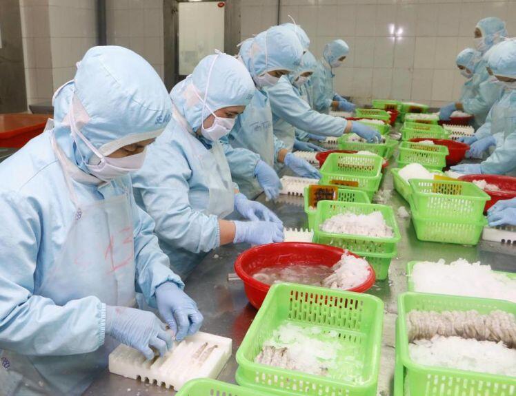 Xuất khẩu thủy sản sang Trung Quốc hồi phục mạnh
