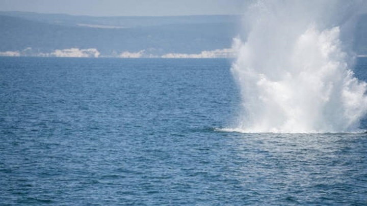 Nga cảnh báo thủy lôi từ biển Đen có thể trôi dạt tới Địa Trung Hải