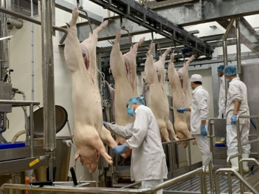 Xuất khẩu thịt và sản phẩm thịt: Cách nào khơi thông thị trường?