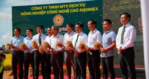 Ra mắt công ty con AGM-Agritech, Angimex hoàn thiện chuỗi cung ứng lúa gạo