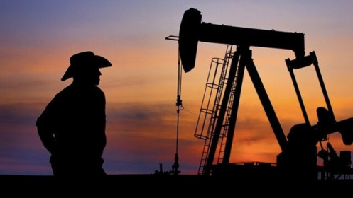 Vì sao các công ty dầu lửa Mỹ không bơm thêm dầu trong lúc giá tăng cao?