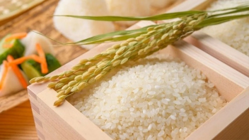 Giá lúa gạo hôm nay 25/3: Giá lúa đi ngang, gạo xuất khẩu tiếp đà giảm giá