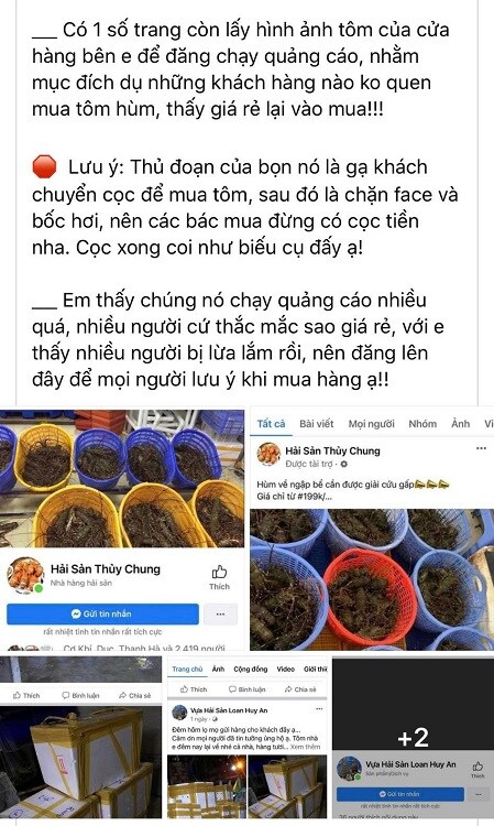 Tôm hùm "cấm biên quay đầu” giá 199.000 đồng/kg rao bán tràn lan trên mạng xã hội