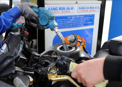 Điều hành giá xăng dầu - Rất cần sự linh hoạt, nhạy bén