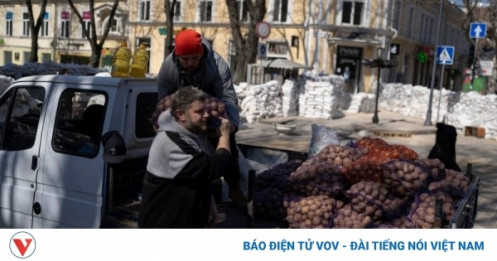Xung đột leo thang, Ukraine vẫn xuất khẩu ngô sang châu Âu