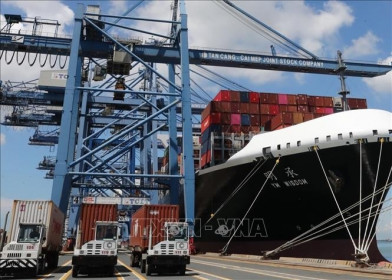 Tháng 3, hàng container nhập khẩu qua cảng biển tăng 12%