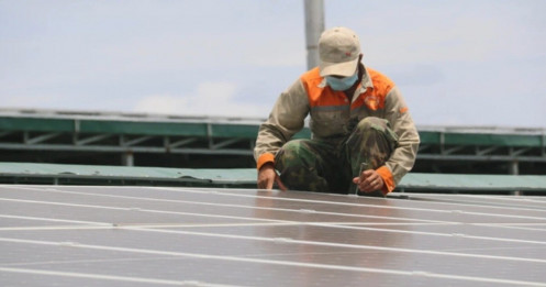 Công bố hàng loạt vi phạm điện mặt trời tại nhiều công ty điện