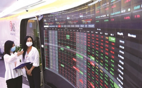 Những nàng hậu trên thị trường chứng khoán