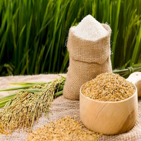 Giá lúa gạo hôm nay 30/3: Giá lúa gạo đi ngang, giá phụ phẩm tăng trở lại