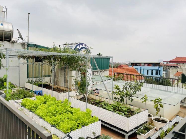 Cặp vợ chồng chi 50 triệu đồng, bê 2 tấn đất, làm vườn sân thượng ở Hà Nội