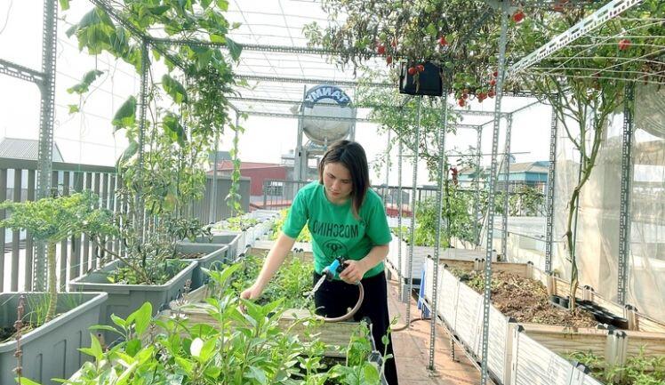 Cặp vợ chồng chi 50 triệu đồng, bê 2 tấn đất, làm vườn sân thượng ở Hà Nội