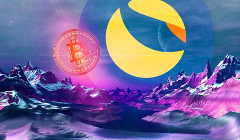 CEO Terra tuyên bố sẽ trở thành người sở hữu Bitcoin lớn nhất thế giới, ngoài Satoshi Nakamoto