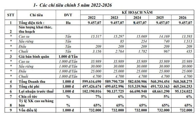 Đầu tư Cao su Đắk Lắk (DRI): Năm 2022, lợi nhuận dự kiến giảm 5,7% về 79,21 tỷ đồng