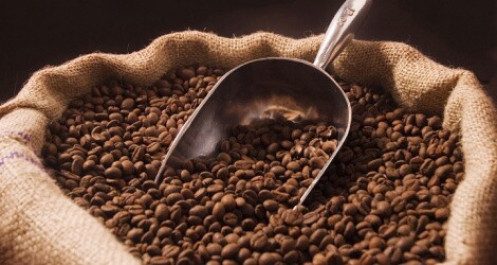 Xuất khẩu cà phê tăng cả về lượng và giá