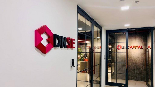 Giám đốc tài chính VSD Holdings được đề cử vào HĐQT DNSE