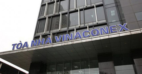 Vinaconex “lộ” cơ sở kế hoạch lợi nhuận “táo bạo” 1.400 tỷ đồng, dự kiến chia cổ tức 28%