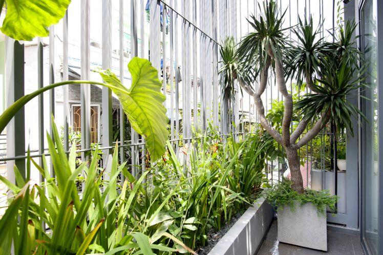 Cải tạo nhà ống 'bí bách' thành không gian sống 'xanh-thoáng-sáng' giữa lòng Sài Gòn