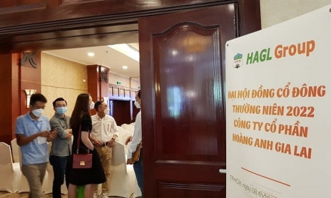 Ông Đoàn Nguyên Đức: Chứng khoán VPBank và quỹ Việt Cát muốn chi 1.700 tỷ mua cổ phiếu HAG