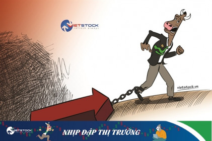 Nhịp đập Thị trường 12/04: "Kéo xả" ngay đầu phiên