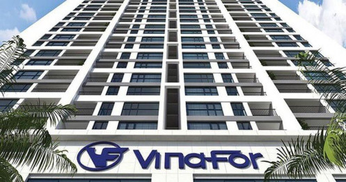 Giá gỗ trên thế giới tăng mạnh, Vinafor (VIF) đặt kế hoạch khiêm tốn