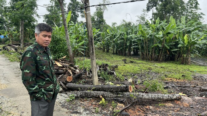 Tỉnh Thừa Thiên – Huế đính chính vụ lô đất xa TP có giá 45 triệu đồng/m2